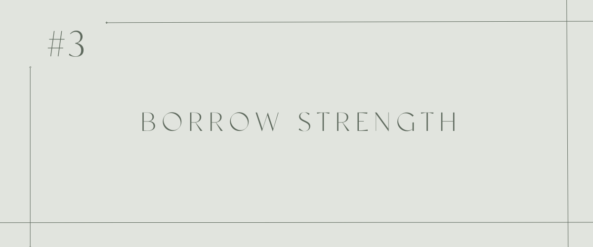 #3 Borrow Strength