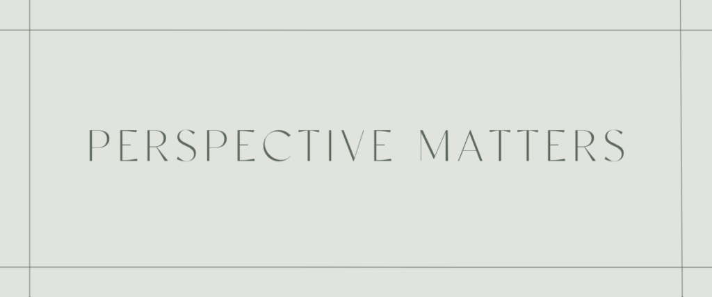 Perspective Matters